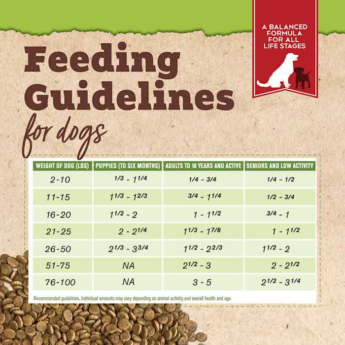 Organic Chicken & Liver Recipe Dry Dog Food T32163