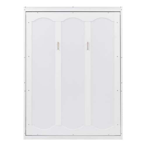 Queen Size Murphy Bed with Storage Shelves and LED Lights, Gray F278