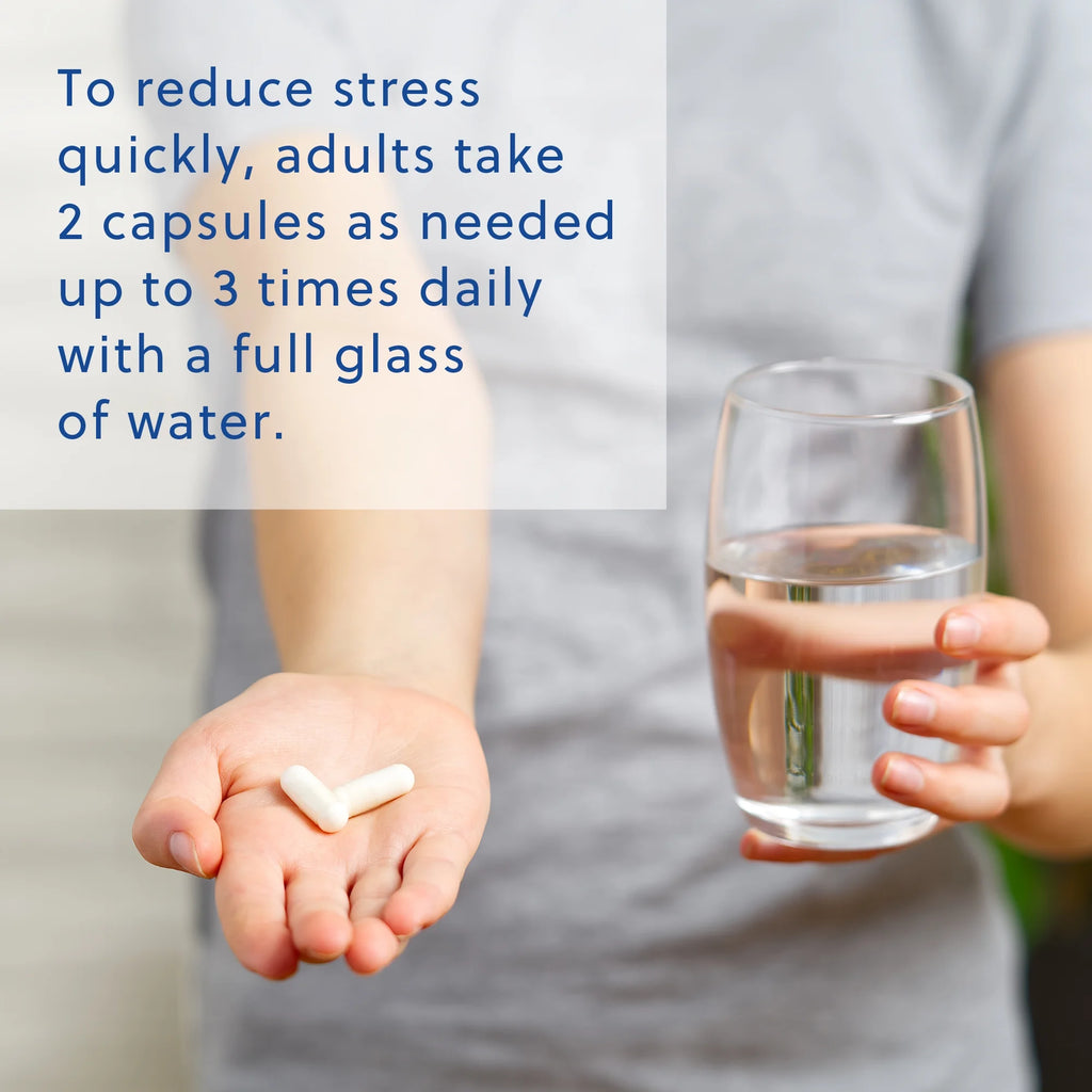 60 Capsules Mood Support Supplement with Ashwagandha, L-Theanine, and Passionflower Y967170