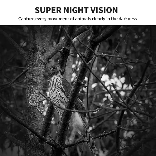 Mini Trail Camera 2 Pack 24MP 1080P HD with 32GB SD Cards Waterproof Night Vision Z425