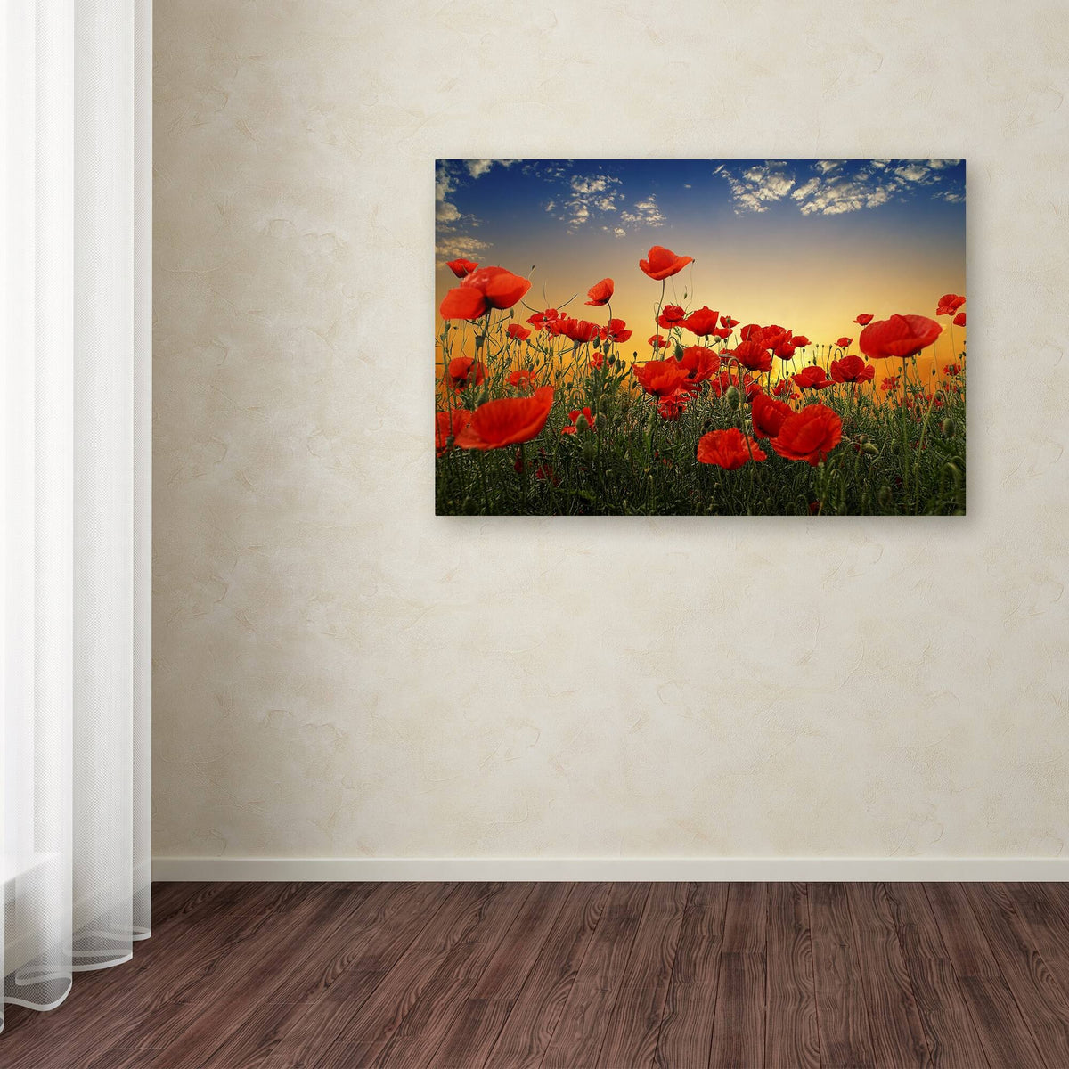 Albena Markova Poppies Canvas Art V41462