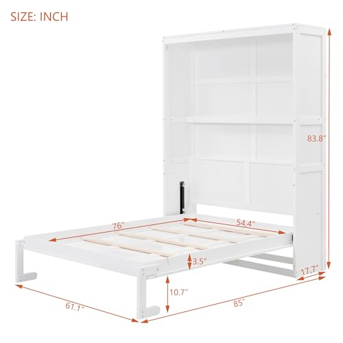 Queen Size Murphy Bed with Storage Shelves and LED Lights, Gray F278