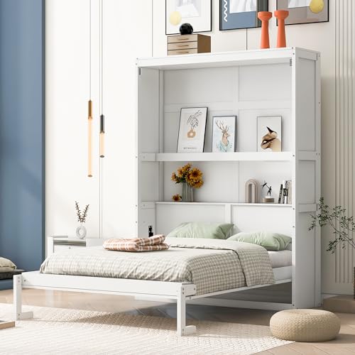 Queen Size Murphy Bed with Storage Shelves and LED Lights, Gray F278