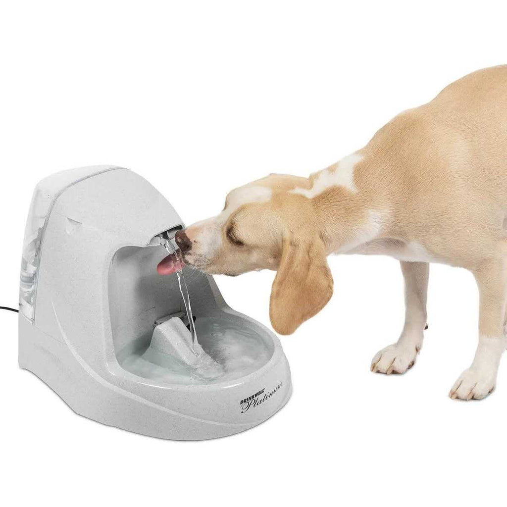 Pet Fountain W566
