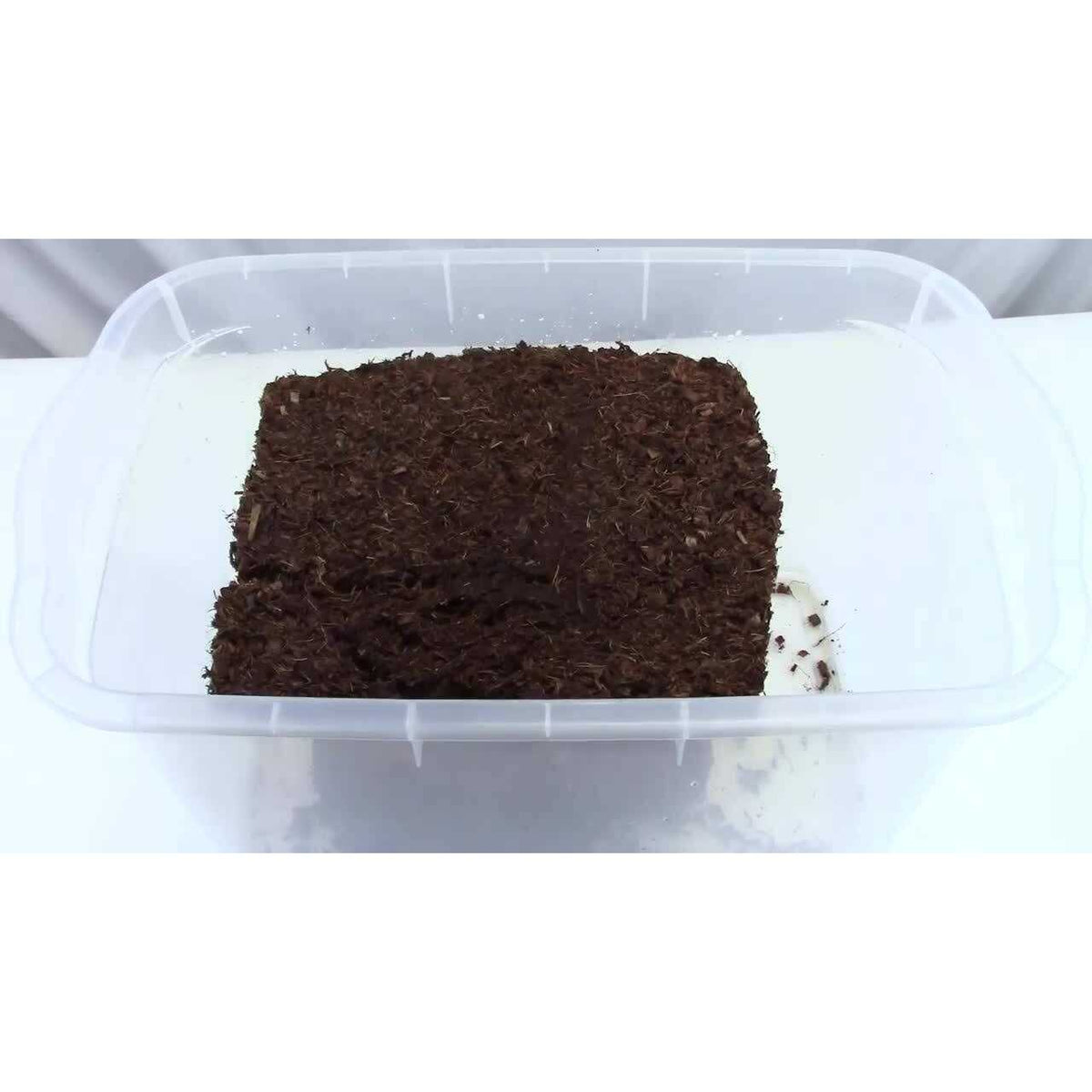 Coco Coir Reptile Substrate A41196