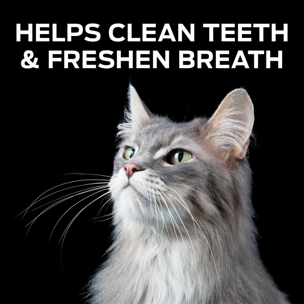Crunchy Bites Cat Treats I4917
