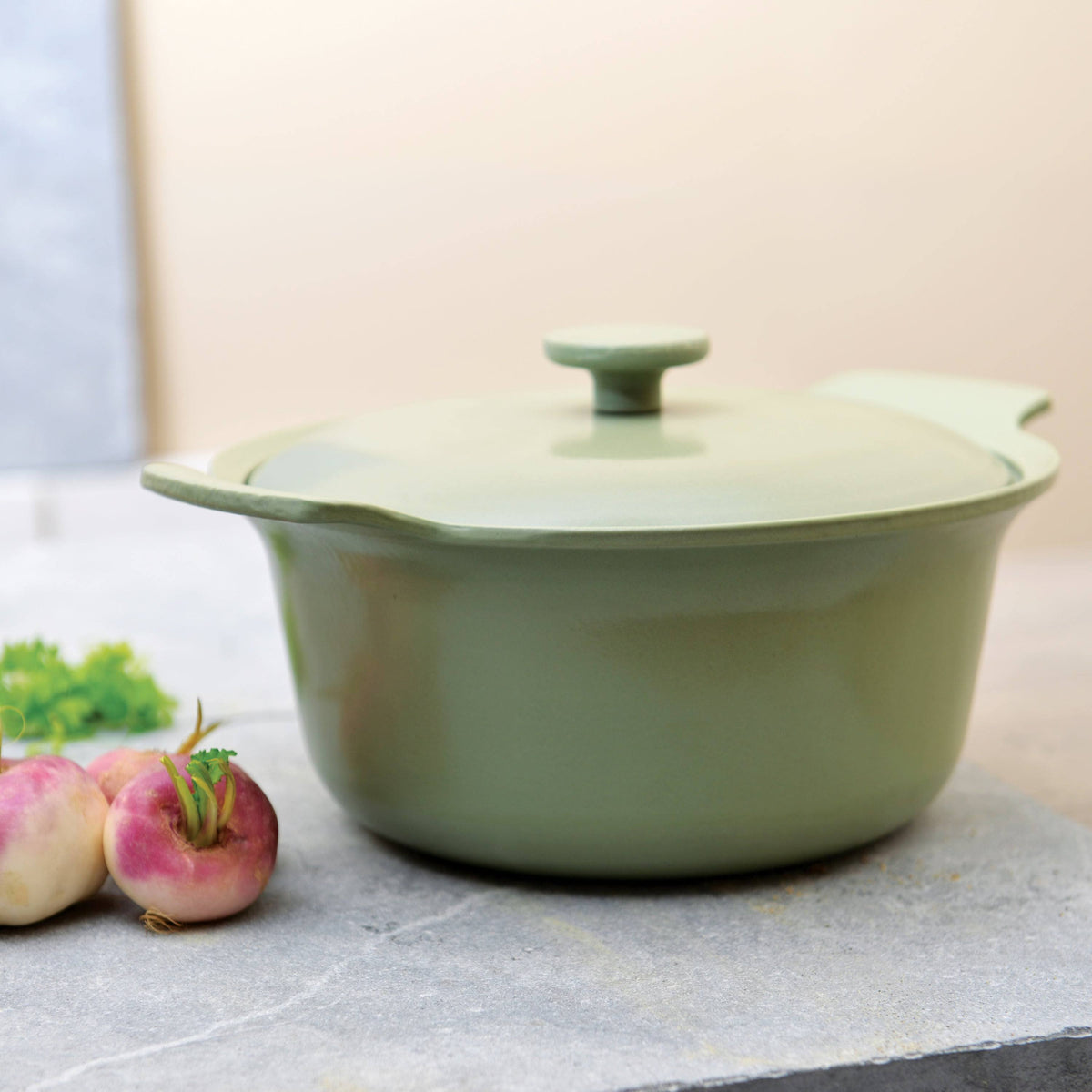 Cast Iron Covered Stockpot P13607