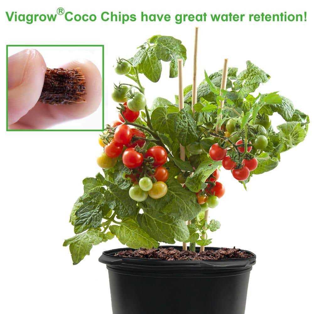 Coco Coir Reptile Substrate A41196