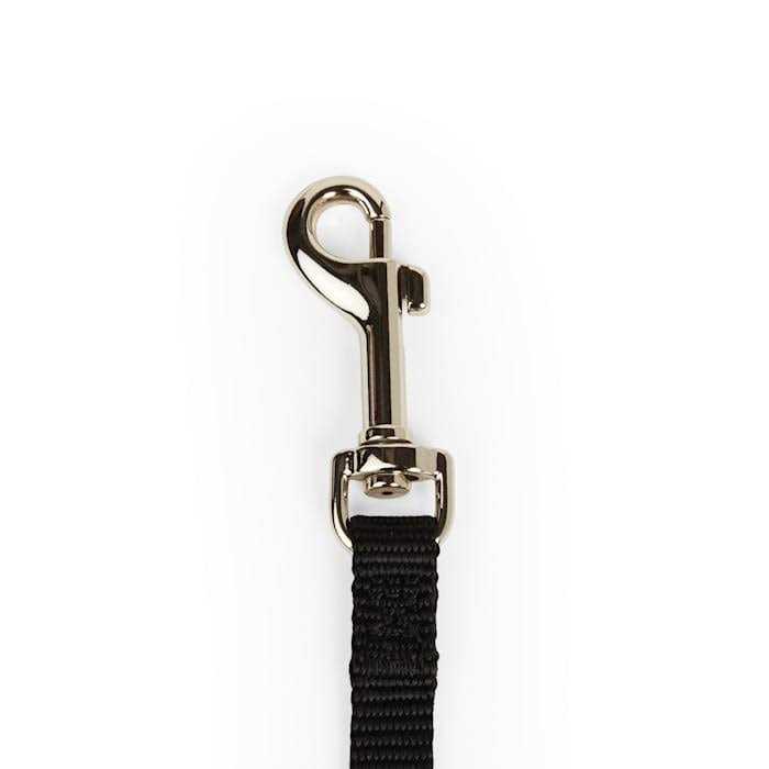 Dog Lead B547