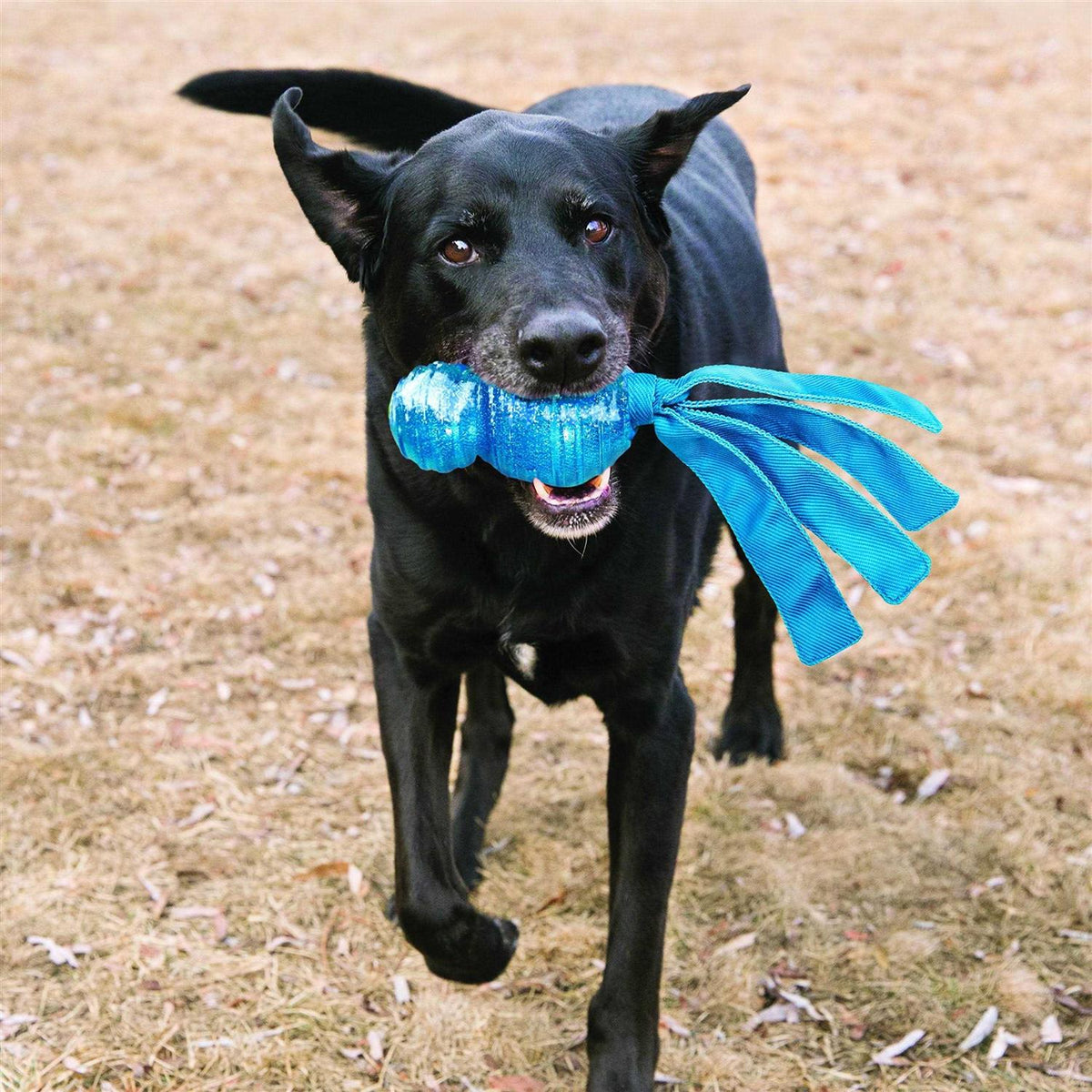 Dog Toy H110