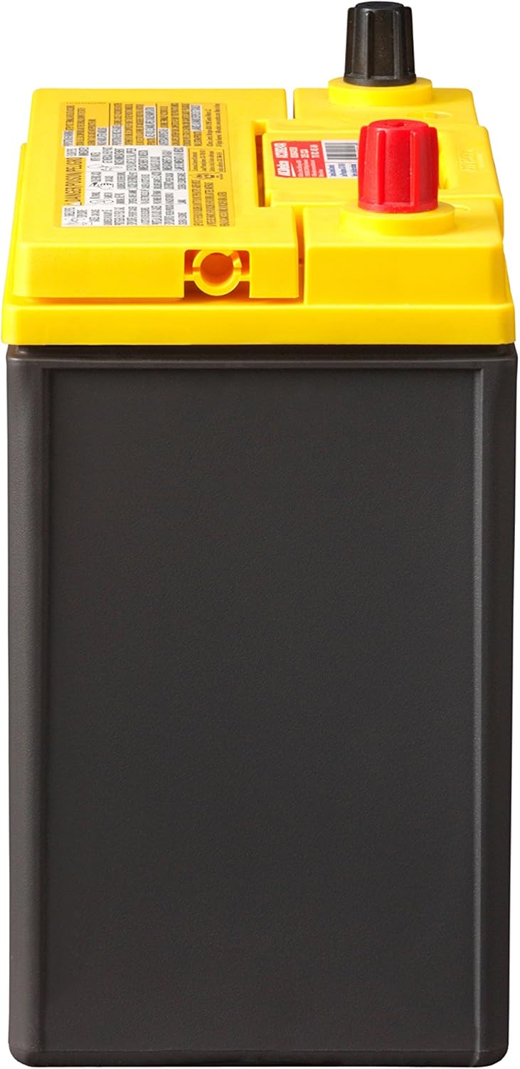 ACDelco Gold B24R Hybrid Vehicle AGM Battery K889