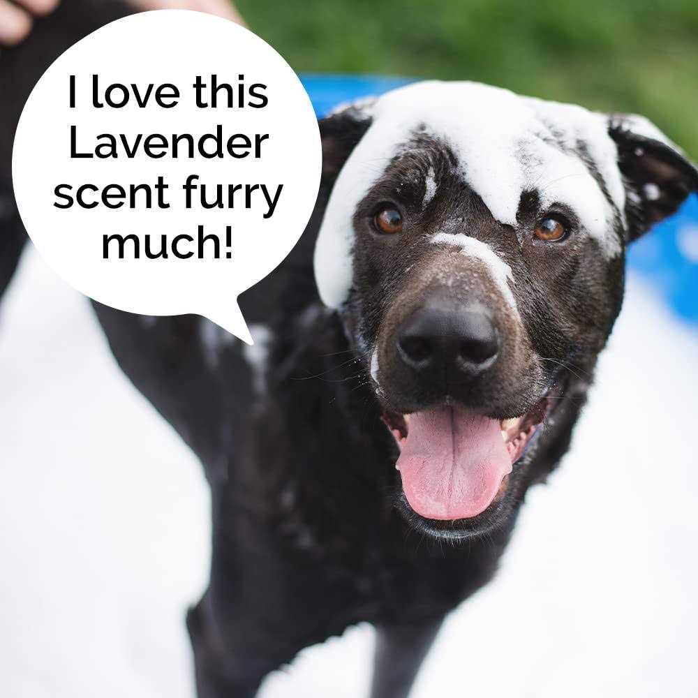 Moisturizing Dog Wash 5-in-1 Q217