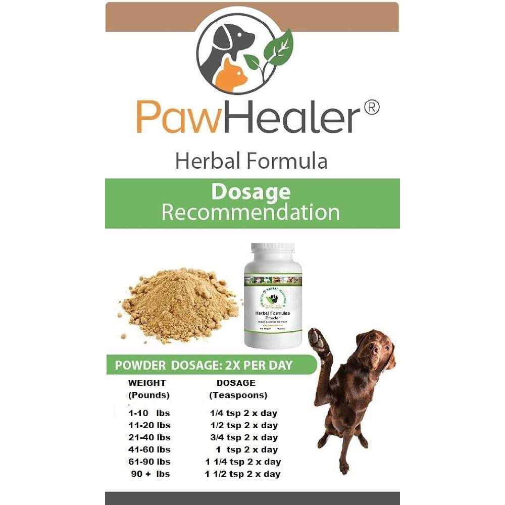 Dog Cough Remedy Z6686