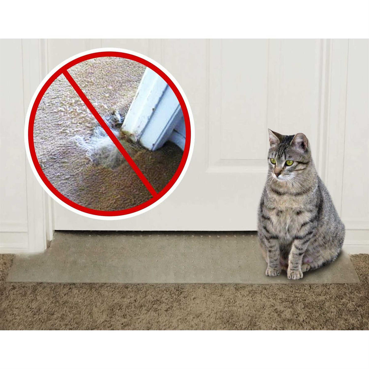 Carpet Scratch Stopper F789