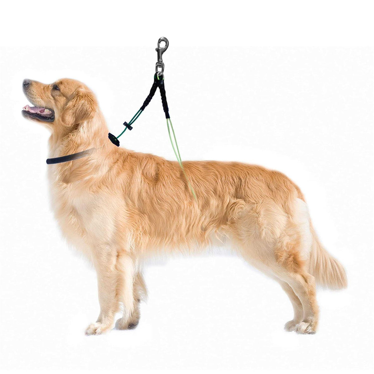 Dog Grooming Loop Restraint O4780