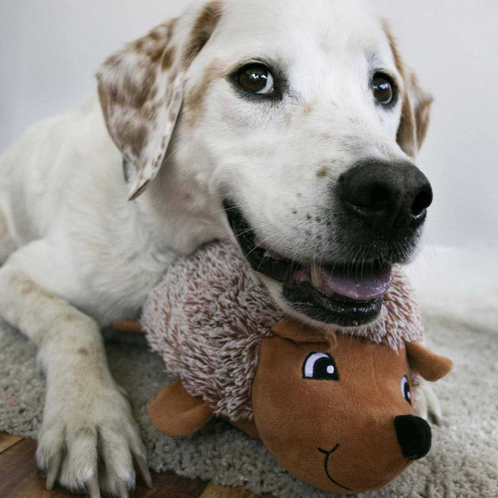 Comfort Dog Toy K641