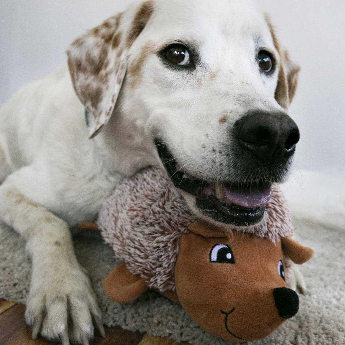 Comfort Dog Toy K641