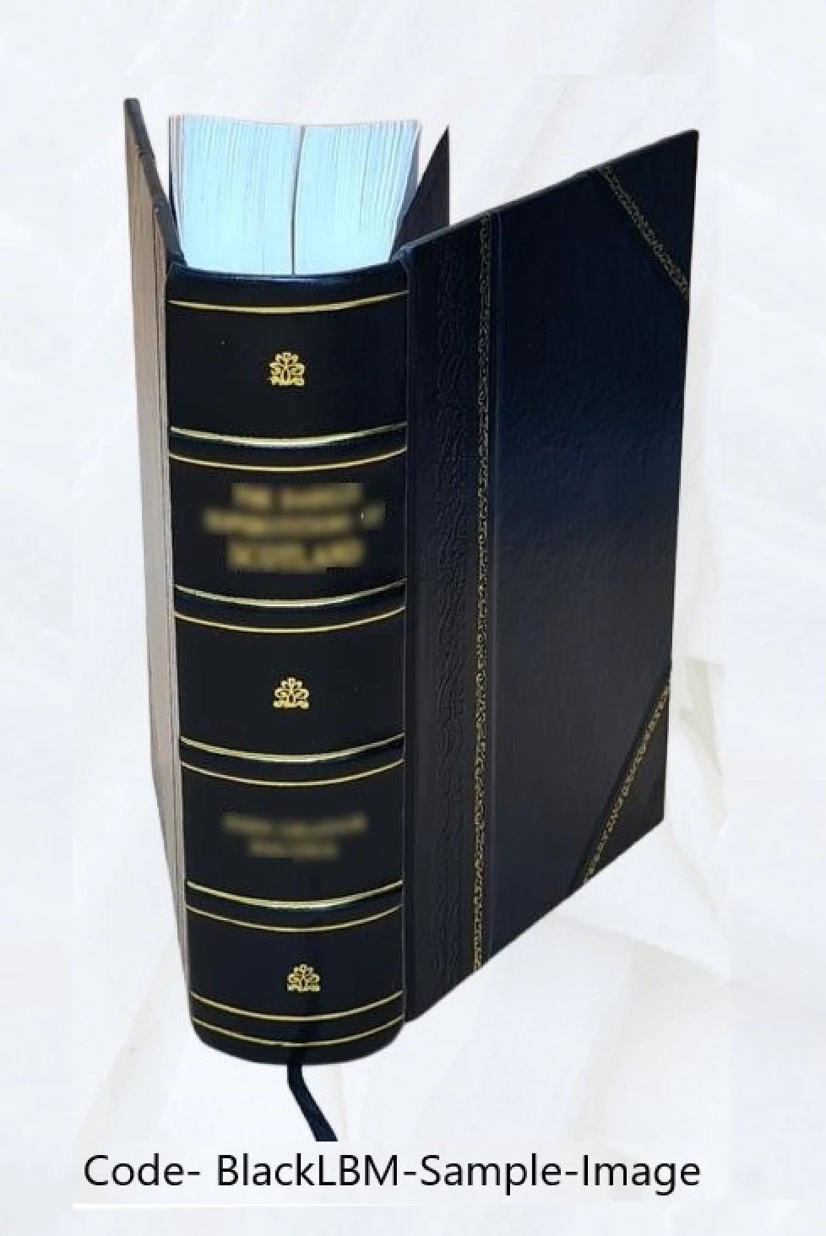 Leather Bound X17406