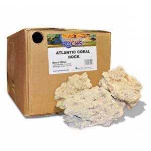 Natural Aquarium Base Rock I246034