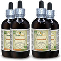 Sassafras Dried Root Bark Liquid Extract X8758