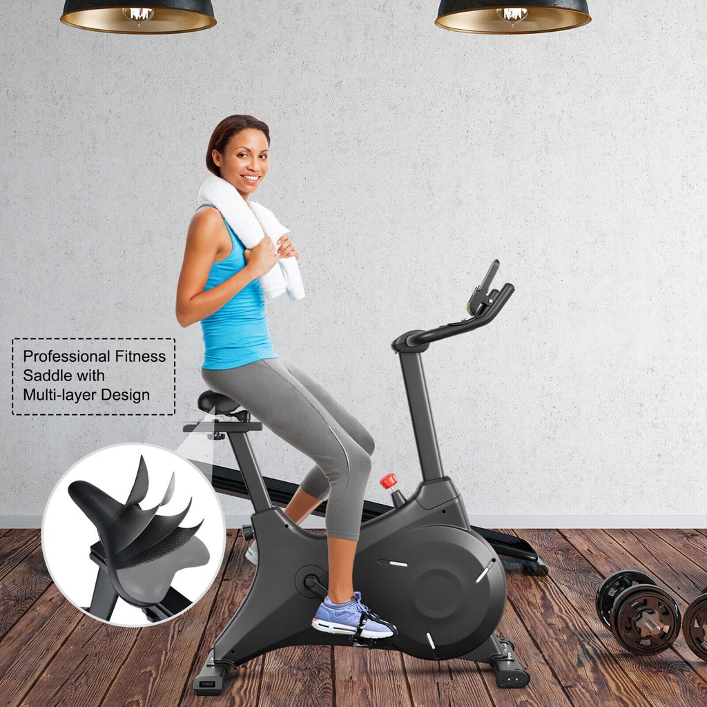 Magnetic Resistance Stationary Exercise Bike P56058