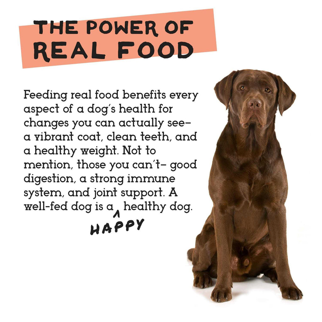Freeze-Dried Chicken & Turkey Dog Food R4206