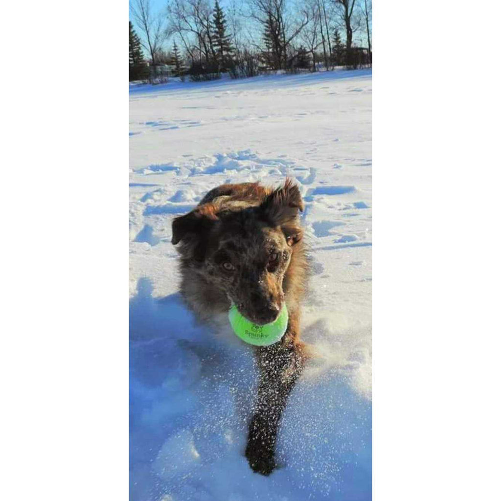 Glow Ball F34702