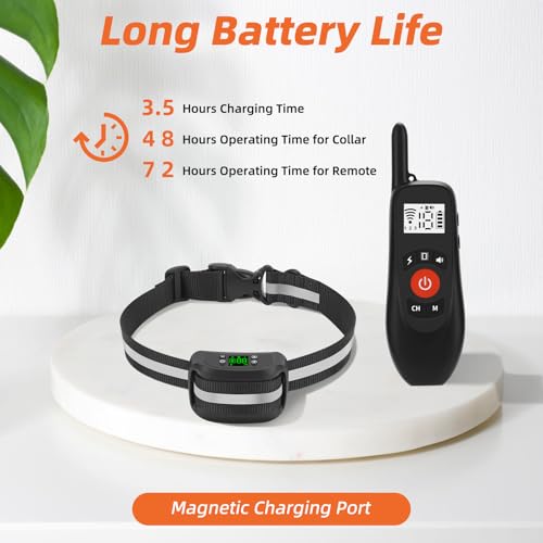 2-in-1 GPS Wireless Dog Fence & Remote Training Collar D22909