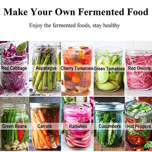 6 Set Stainless Steel Fermentation Lids for Wide Mouth Jars Y236